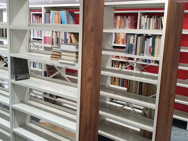 Библиотечные стеллажи с книгами